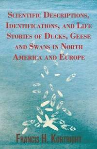 bokomslag Scientific Descriptions, Identifications, and Life Stories of Ducks, Geese and Swans in North America and Europe