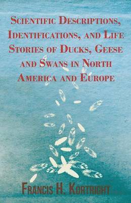 bokomslag Scientific Descriptions, Identifications, and Life Stories of Ducks, Geese and Swans in North America and Europe