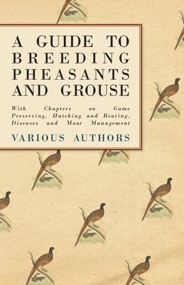 bokomslag A Guide to Breeding Pheasants and Grouse - With Chapters on Game Preserving, Hatching and Rearing, Diseases and Moor Management