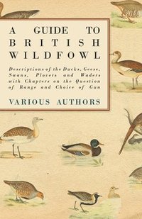 bokomslag A Guide to British Wildfowl - Descriptions of the Ducks, Geese, Swans, Plovers and Waders with Chapters on the Question of Range and Choice of Gun