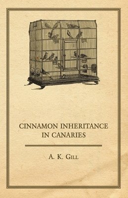 Cinnamon Inheritance In Canaries 1