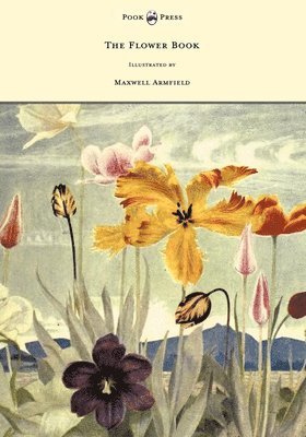 Flower Book - Illustrated by Maxwell Armfield