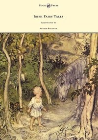 bokomslag Irish Fairy Tales - Illustrated by Arthur Rackham