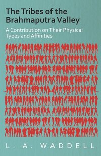bokomslag The Tribes of the Brahmaputra Valley - A Contribution on Their Physical Types and Affinities