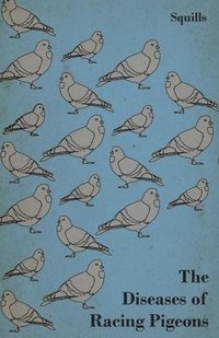 bokomslag The Diseases Of Racing Pigeons
