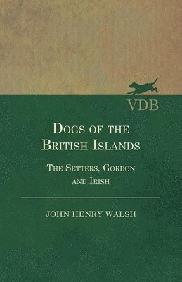 bokomslag Dogs Of The British Islands. The Setters.Gordon And Irish.