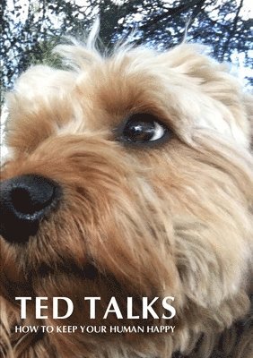 Geoff Mead - Ted Talks, Häftad