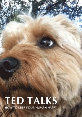 bokomslag Ted Talks