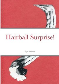 bokomslag Hairball Surprise!