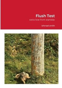 bokomslag Flush Test