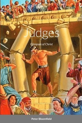 bokomslag Judges