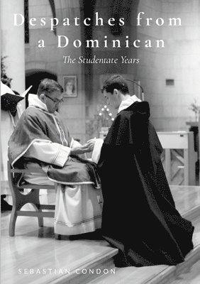 bokomslag Despatches from a Dominican