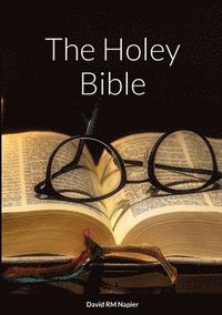 bokomslag The Holey Bible