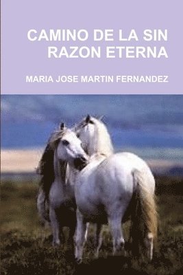 bokomslag Camino de la Sin Razon Eterna