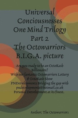 bokomslag The Octowarriors B.I.G.A. picture