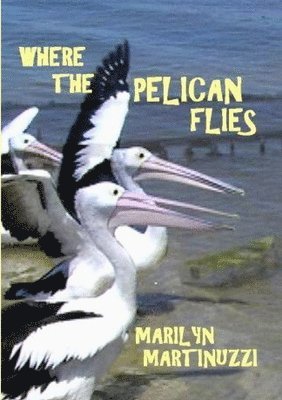 Where the Pelican Flies 1