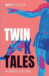 bokomslag Twink Tales