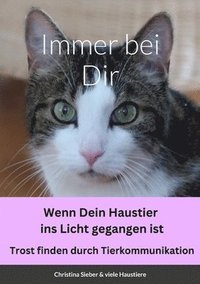 bokomslag Immer bei Dir - Wenn dein Haustier ins Licht gegangen ist