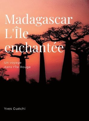 bokomslag Madagascar, l'le envotante