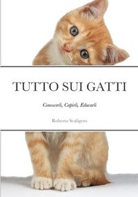 bokomslag Tutto Sui Gatti