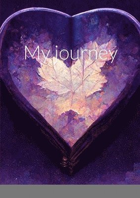 My journey 1