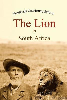 bokomslag Lion in South Africa