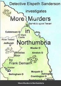 bokomslag More Murders in Northumbria