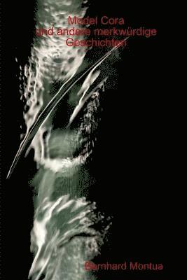 Bernhard Montua - Model Cora Und Andere Merkwurdige Geschichten, Häftad