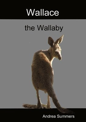 bokomslag Wallace the Wallaby