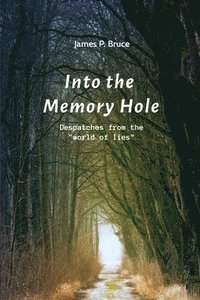 bokomslag Into the Memory Hole