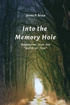 Into the Memory Hole 1
