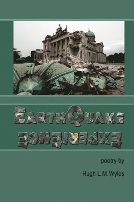 bokomslag Earthquake Experience