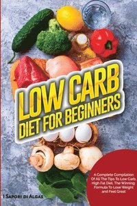 bokomslag Low Carb Diet For Beginners