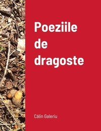 bokomslag Poeziile de dragoste