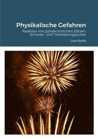 bokomslag Physikalische Gefahren