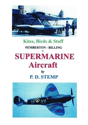 Kites, Birds & Stuff  -  SUPERMARINE Aircraft 1