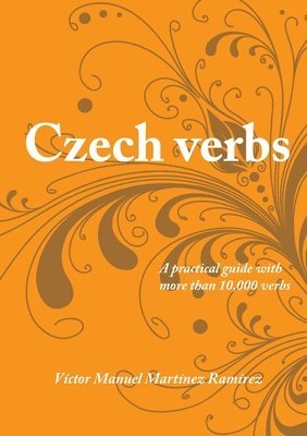 Czech Verbs 1