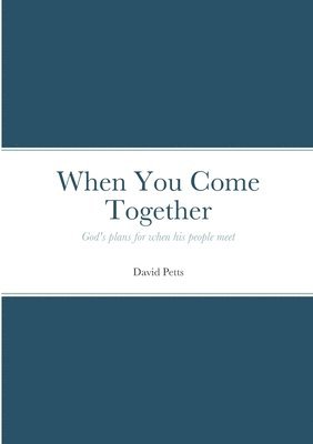 David Petts - When You Come Together, Häftad