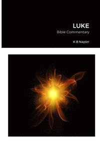 bokomslag Luke