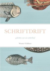 bokomslag Schriftdrift