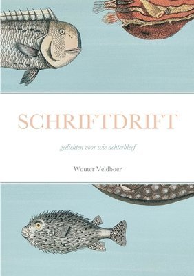 bokomslag Schriftdrift