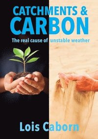 bokomslag Catchments & Carbon