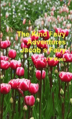 bokomslag Kind Fairy Adventures. Jacobs Fairy