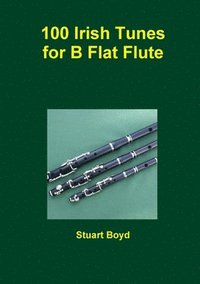 bokomslag Irish Tunes for B Flat Flute