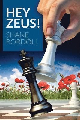 bokomslag Hey Zeus!