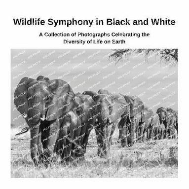 bokomslag Wildlife Symphony in Black and White