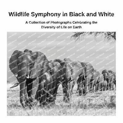 Wildlife Symphony in Black and White 1