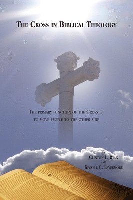 bokomslag Cross in Biblical Theology