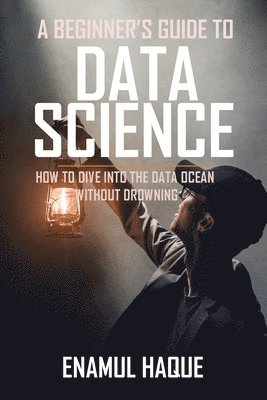 bokomslag A Beginner's Guide To DATA SCIENCE