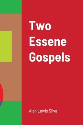 bokomslag Two Essene Gospels